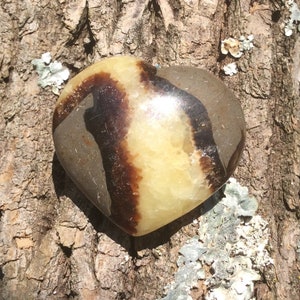 Septarian Stone Carved Heart: Madagascar Dragon Heart, 1.5 inch