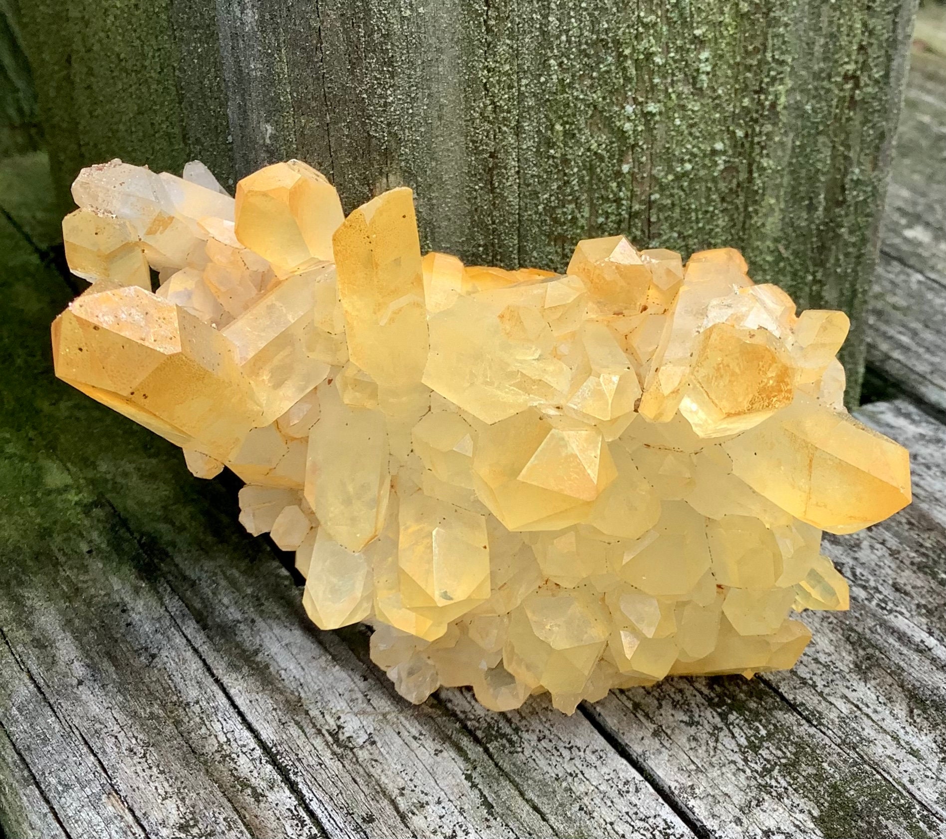 Golden Healer Arkansas Cluster - Etsy