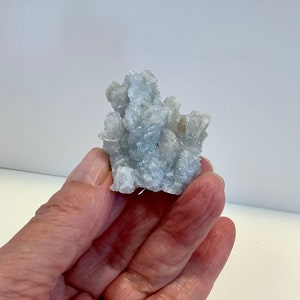 Pu&ograve; includere: Un gruppo di cristalli di celestite blu chiaro con una superficie ruvida e testurizzata.