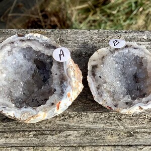 Agate geode pot cut polished halves Brazilian