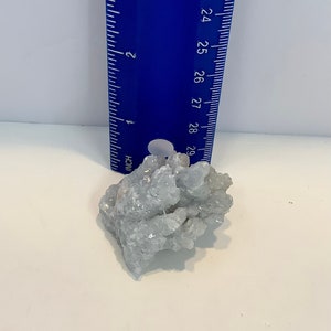 Pu&ograve; includere: Un ammasso di cristalli di celestite blu chiaro, che misura circa 5 cm di diametro, con un righello per la scala.