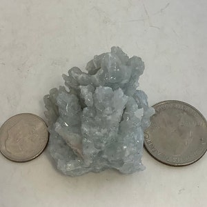 Pu&ograve; includere: Un gruppo di cristalli di celestite blu chiaro, circa delle dimensioni di una moneta da 25 centesimi di dollaro americano.