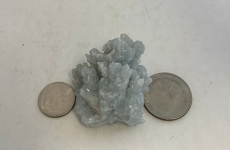 Pu&ograve; includere: Un gruppo di cristalli di celestite blu chiaro, circa delle dimensioni di una moneta da 25 centesimi di dollaro americano.