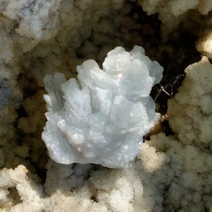 Pu&ograve; includere: Un gruppo di cristalli bianchi e blu chiaro, che ricordano un fiore, incastonato in un letto di cristalli bianchi.