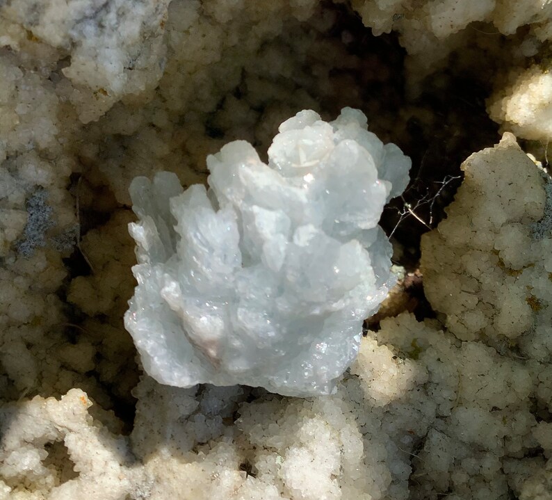 Pu&ograve; includere: Un gruppo di cristalli bianchi e blu chiaro, che ricordano un fiore, incastonato in un letto di cristalli bianchi.