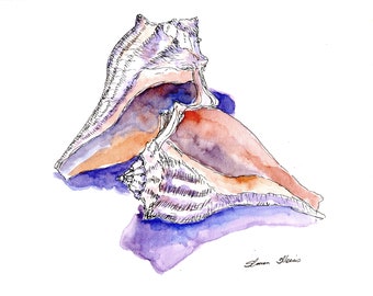 CONCH SHELLS in Original 9" x 12" WATERCOLOR by Sharon Weiss