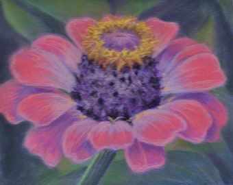 ORIGINAL ZINNIA in 8 x 10 inch pastel PAINTING by Sharon Weiss