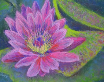 ORIGINAL WATER LILY in 8 x 10 inch pastel painting by Sharon Weiss