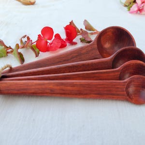 BloodWood Hand Carved Measuring Spoon Set