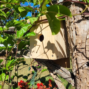 Hand Made Wooden Blue Bird House