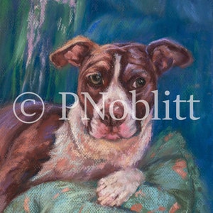 May include: A brown and white dog with a pink nose is lying on a blue and green patterned pillow. The dog has brown eyes and is looking at the camera. The background is a blue and green color.