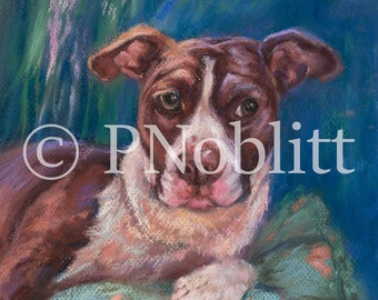 May include: A brown and white dog with a pink nose is lying on a blue and green patterned pillow. The dog has brown eyes and is looking at the camera. The background is a blue and green color.