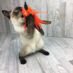 Cat toy | XL feather crown- orange | Feather cat toy | Big feather bush cat teaser toy |Interactive cat toy | Strong and durable |