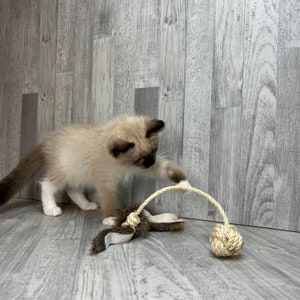 Rabbit fur cat toy - monkey fist with fur tail