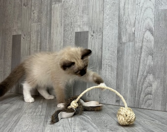 Rabbit fur cat toy - monkey fist with fur tail