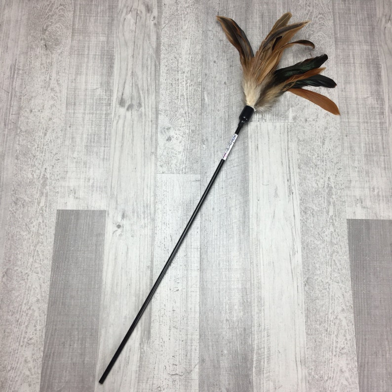 May include: A black feather cat toy with brown and white feathers attached to a long black stick.