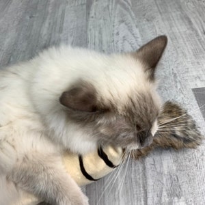 Catnip Kicker Toy: Rabbit Fur Tail, Handmade Cat Toy
