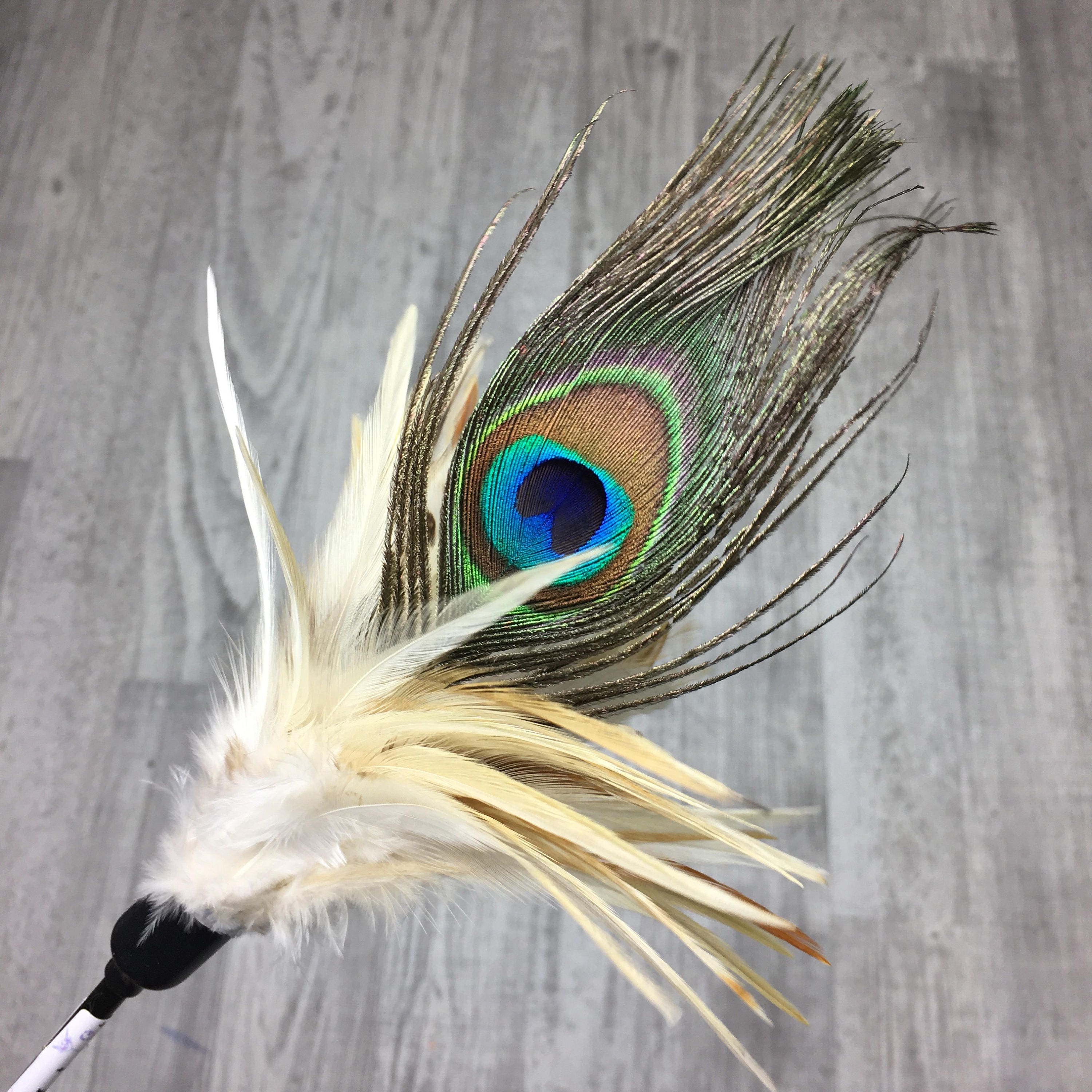 Cat Toy Peacock Duster Teaser Cat Toy Long Cat Toy Etsy