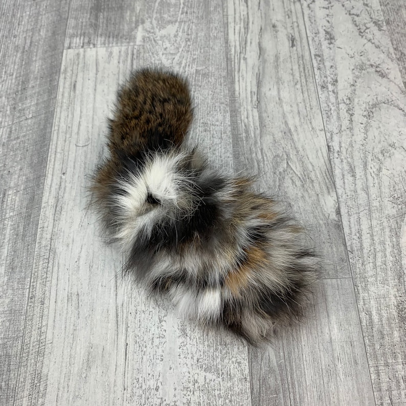 May include: A fluffy, multi-colored fur tail with brown, white, and black fur. The tail is curled up and appears to be a real animal tail.