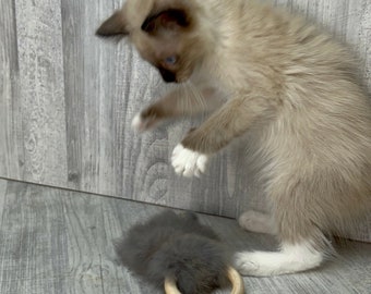 Giocattolo per gatti in pelliccia di coniglio con anello in legno e sonaglio / Giocattolo per gatti