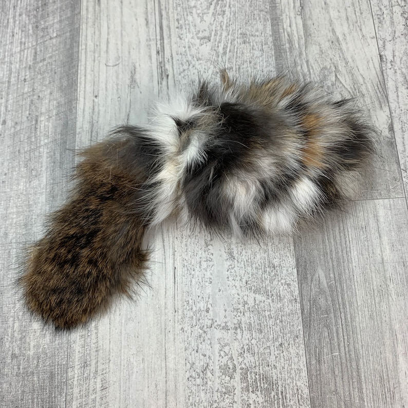 May include: A fluffy brown, white, and black fur tail with a long, thick, brown base.