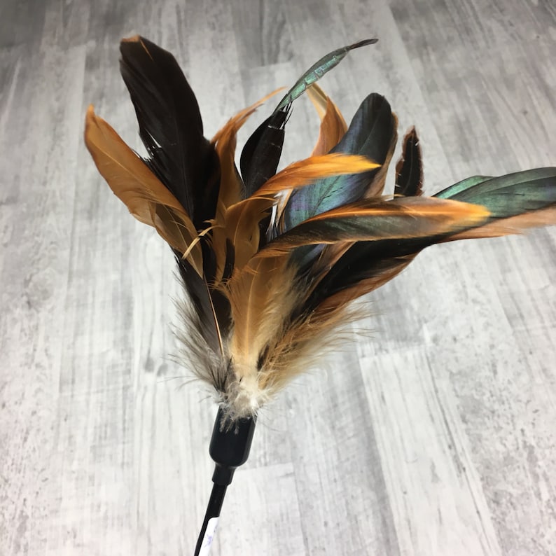 May include: A brown and black feather cat toy with a long black handle.