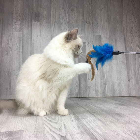 best cat wand