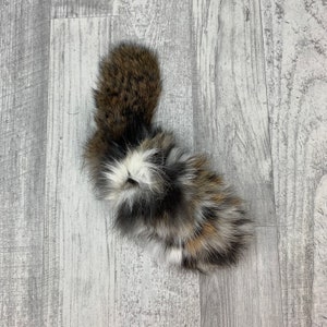 May include: A fluffy, multi-colored fur tail with brown, white, and black fur. The tail is curled up and appears to be a real animal tail.