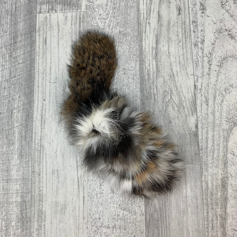 May include: A fluffy, multi-colored fur tail with brown, white, and black fur. The tail is curled up and appears to be a real animal tail.