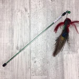 Cat toy | Pull out fly wand cat teaser toy | Bird cat toy | Award winning cat toy | Interactive cat toy | Chase cat toy |
