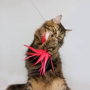 Juguete para gatos / Corona de plumas XL -rosa / Juguete largo para gatos / Juguete interactivo para gatos / Arbusto de plumas grande / Plumas naturales / Gato grande y fuerte /