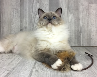 Juguete para gatos / Ratón de piel de zorro / Juguete para gatos de piel de zorro / Juguete para gatos de piel de conejo / Juguete para gatos para lanzar / Juguete duradero para gatos / Juguete señuelo para gatos / Juguete de piel auténtica