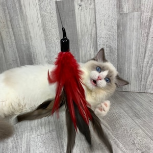 Cat toy | XL feather crown-red | Feather cat toy | Big feather bush cat teaser toy |Interactive cat toy | Strong and durable |