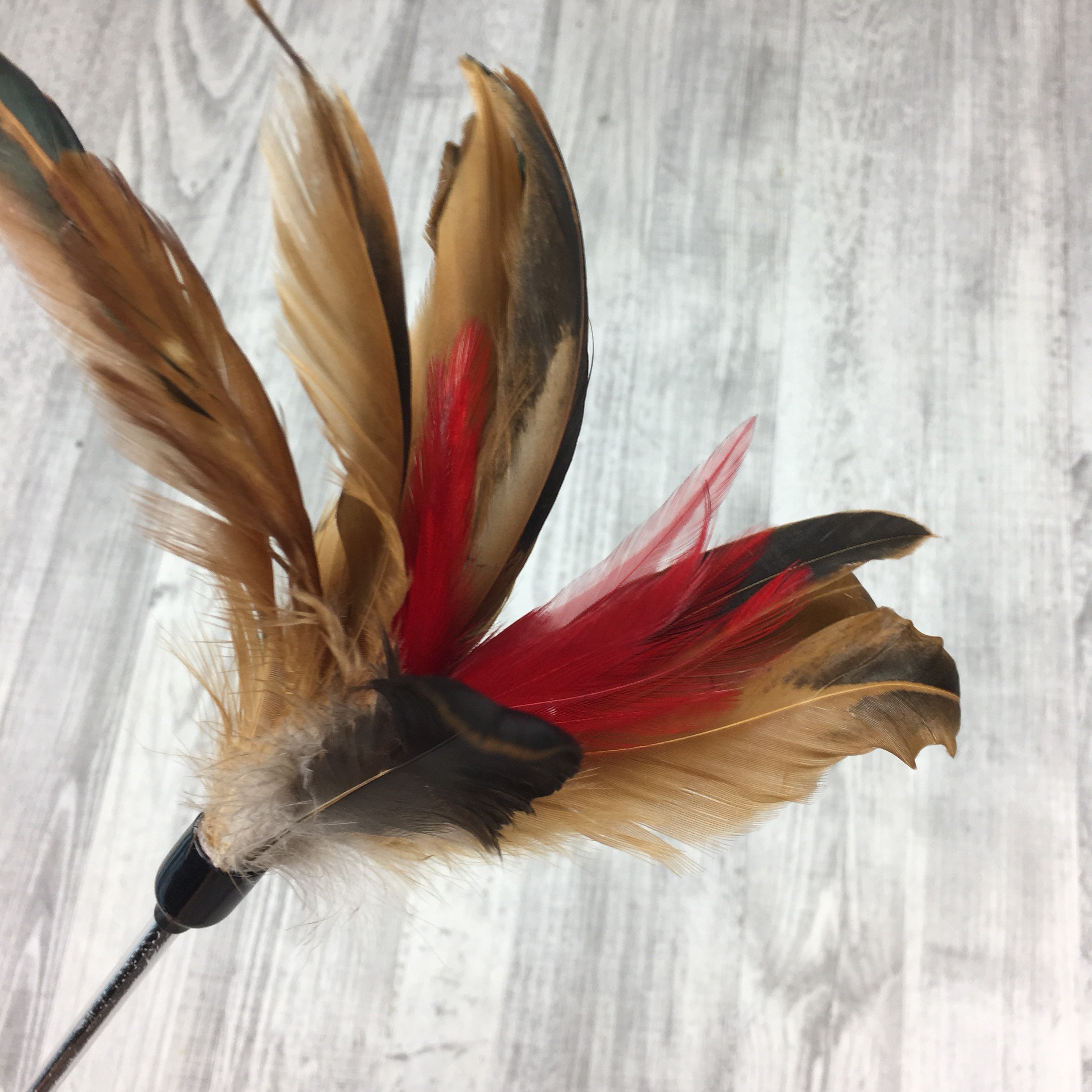 Cat toy Mega feathers duster Cat teaser toy Interactive Etsy