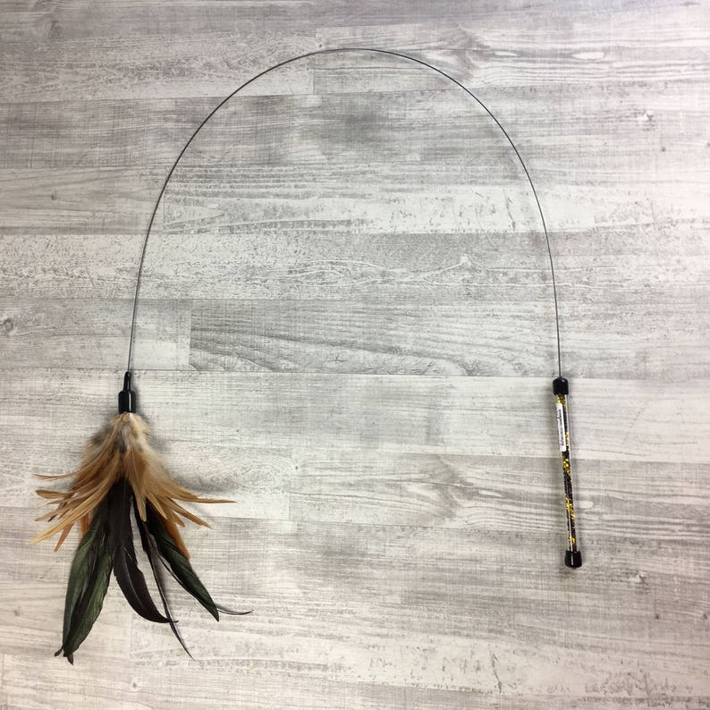 May include: A black and silver cat toy with a long, flexible wire and a feather attachment. The feather is brown, black, and tan.