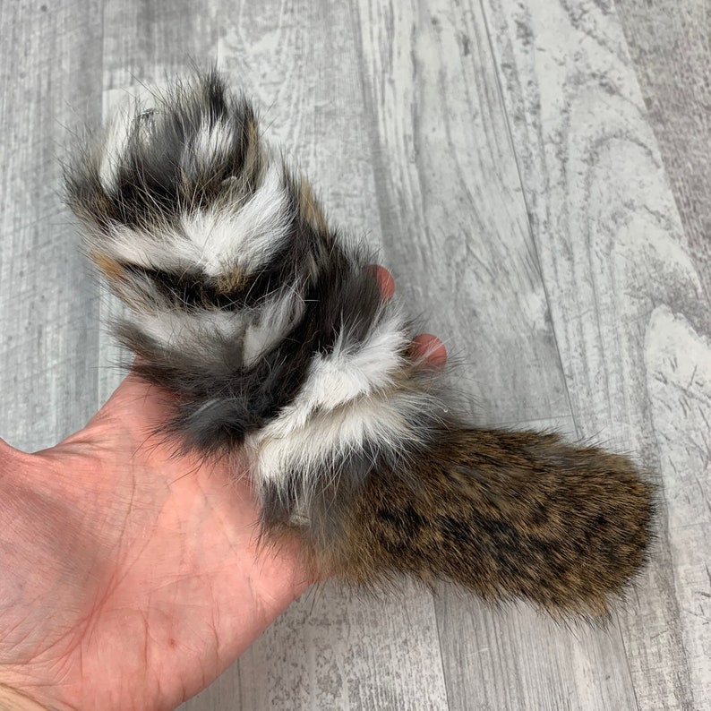 May include: A brown and white animal tail with long, soft fur. The tail is held in a hand, and the fur is fluffy and appears to be natural.