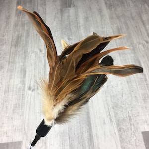 May include: A brown and black feather cat toy with a white fluffy tip attached to a black stick.