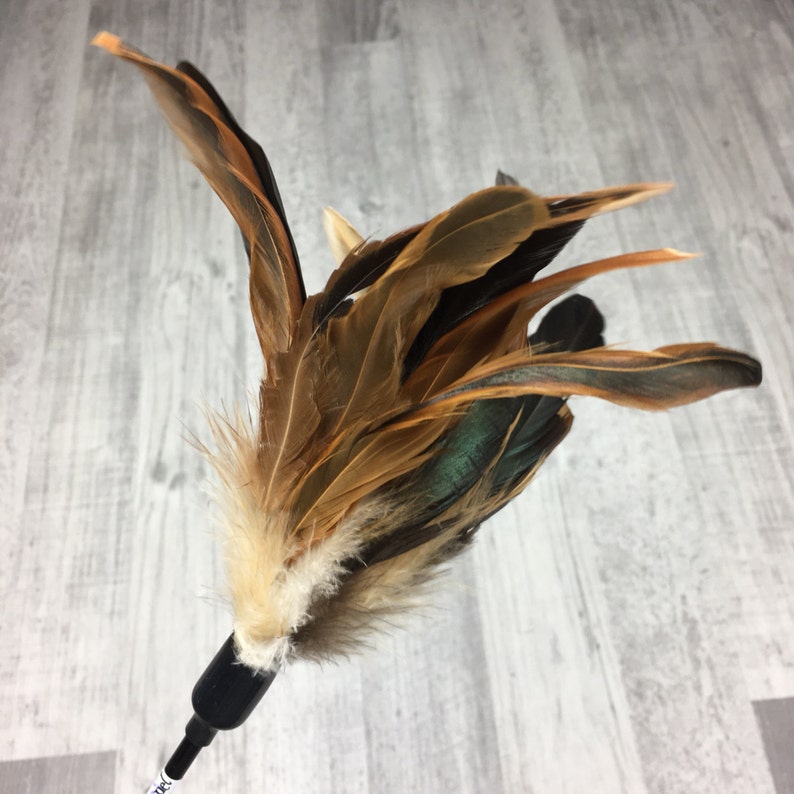 May include: A brown and black feather cat toy with a white fluffy tip attached to a black stick.
