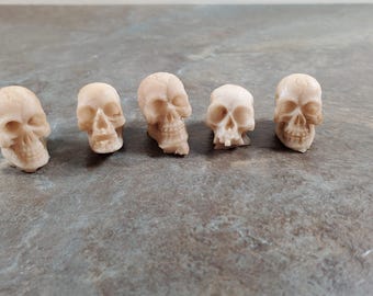 20-Pack Mini Resin Skulls – Small Spooky Decor For Halloween Crafts, Terrariums, & Table Accents - View #4