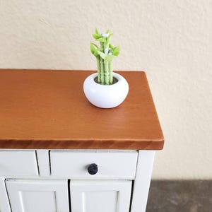 Tiges de bambou porte-bonheur miniatures pour maison de poupée dans un pot en céramique, plante d'intérieur à l'échelle 1:12