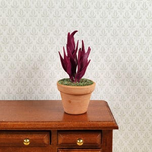 May include: A miniature potted plant with deep burgundy leaves and green moss-like material in a terracotta pot. The small plant sits on a wooden surface with two drawers and gold-colored knobs. The background features a light-colored wallpaper with a repeating pattern.