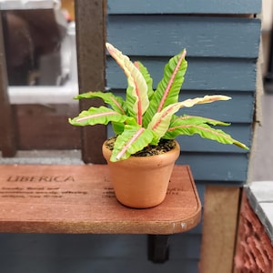 Dollhouse Houseplant Lady in Red Fern Terra Cotta Pot 1:12 Scale Miniature Plant