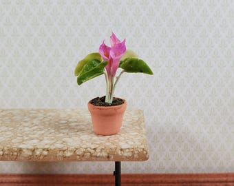 Dollhouse Potted Calla Lily Pink Flowering Plant Clay Pot 1:12 Scale Miniature