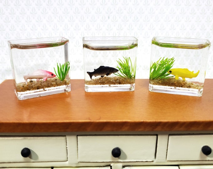 Dollhouse Fish Bowl Tank 1 Piece Random Colors 112 Scale Etsy