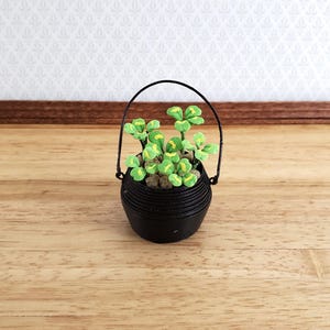 May include: A miniature black pot with a handle, filled with green and yellow clover-like plants and small rocks. The pot sits on a wooden surface, creating a charming, handcrafted aesthetic. The arrangement evokes a sense of nature and miniature gardening.