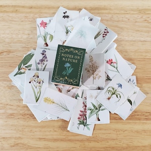 100 Mini Natur botanische Drucke auf Karton Blumen Floral Vintage Bilder Scrapbooking Stamping