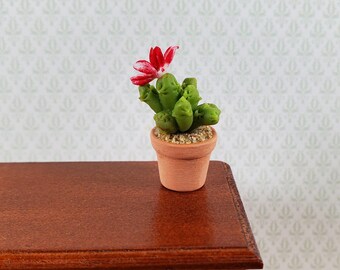 Dollhouse Cactus Plant with Flower in a Terra Cotta Planter 1:12 Scale Miniature