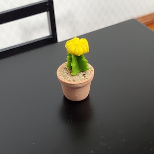 Dollhouse Moon Cactus Plant Yellow Potted in Terra Cotta Planter 1:12 Scale Miniature Decor