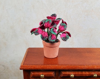 Dollhouse Pink Variegated Coleus Plant in a Terra Cotta Pot 1:12 Scale Miniature