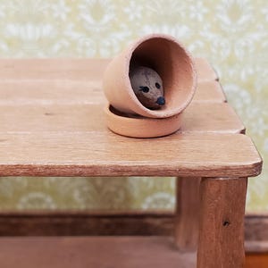 Puppenhaus-Tontopf mit Igel darin, Gartenpflanzgefäß, Terrakotta, Miniatur im Maßstab 1:12